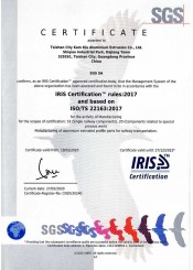 ISO-TS 221632017